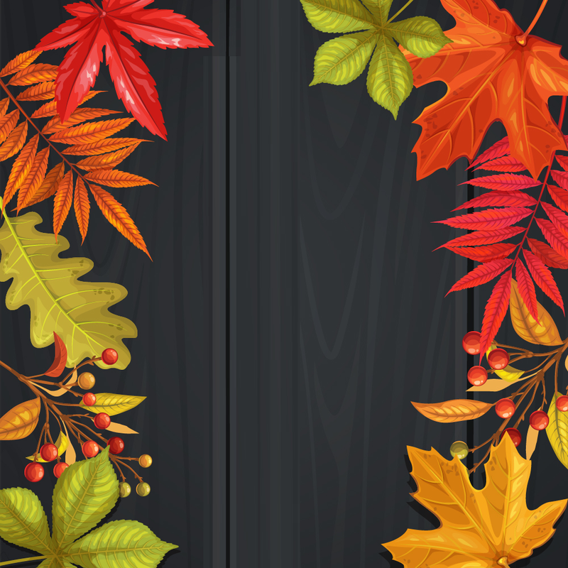 Roomvo_1000x1000_BF_SF_US_2025_